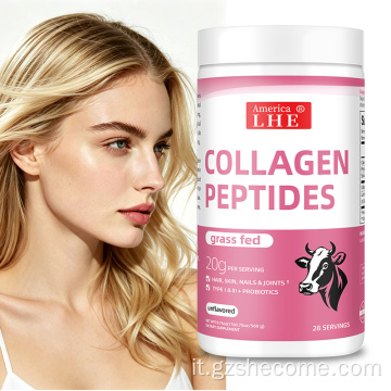 Polvere di peptidi di collagene 560g Supporto per la pelle